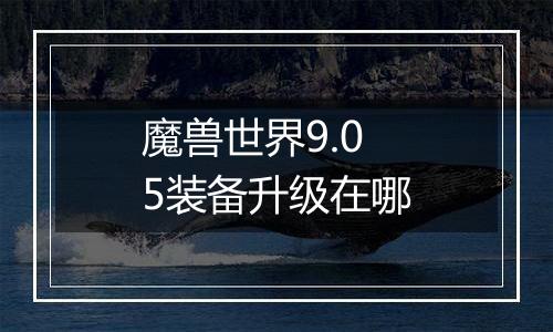 魔兽世界9.05装备升级在哪