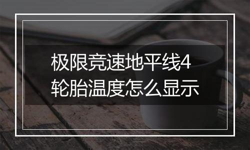 极限竞速地平线4轮胎温度怎么显示