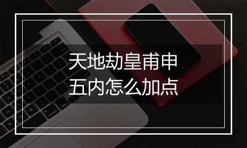 天地劫皇甫申五内怎么加点