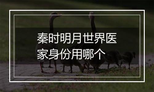 秦时明月世界医家身份用哪个