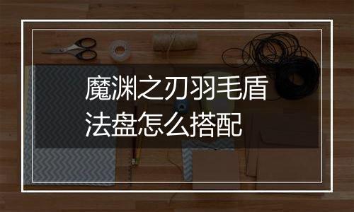 魔渊之刃羽毛盾法盘怎么搭配