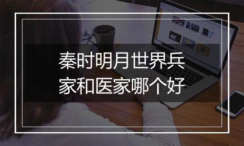 秦时明月世界兵家和医家哪个好