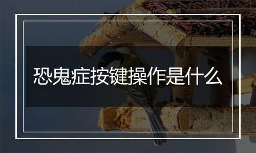 恐鬼症按键操作是什么