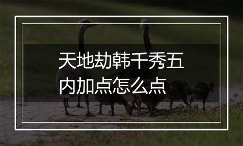 天地劫韩千秀五内加点怎么点