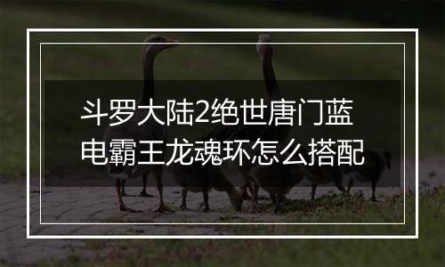 斗罗大陆2绝世唐门蓝电霸王龙魂环怎么搭配