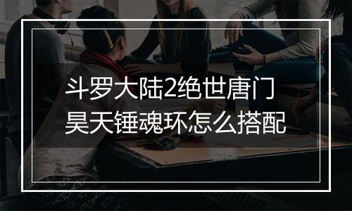 斗罗大陆2绝世唐门昊天锤魂环怎么搭配