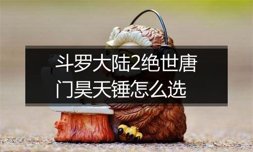 斗罗大陆2绝世唐门昊天锤怎么选