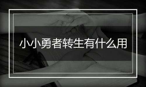 小小勇者转生有什么用