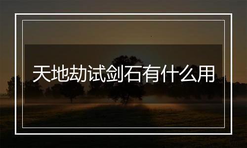 天地劫试剑石有什么用