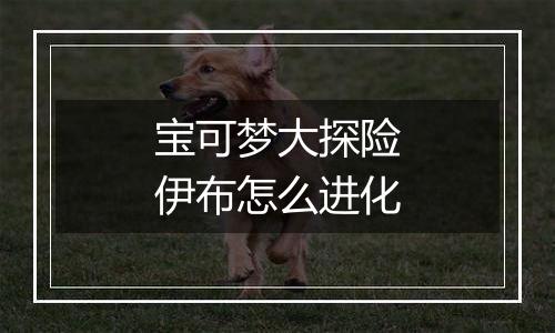 宝可梦大探险伊布怎么进化
