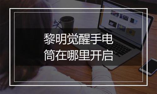 黎明觉醒手电筒在哪里开启