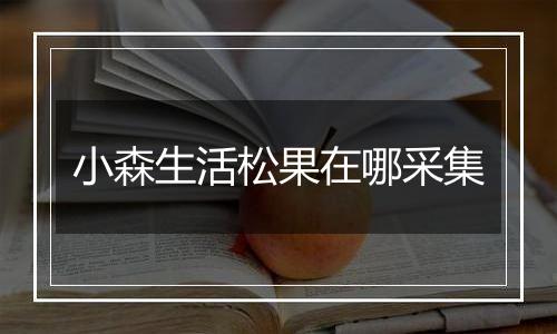 小森生活松果在哪采集