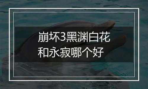 崩坏3黑渊白花和永寂哪个好