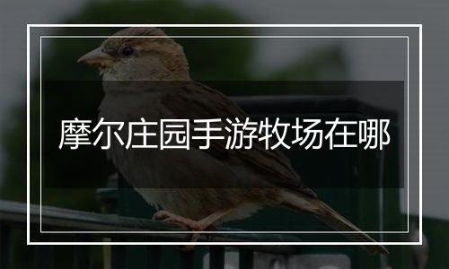 摩尔庄园手游牧场在哪