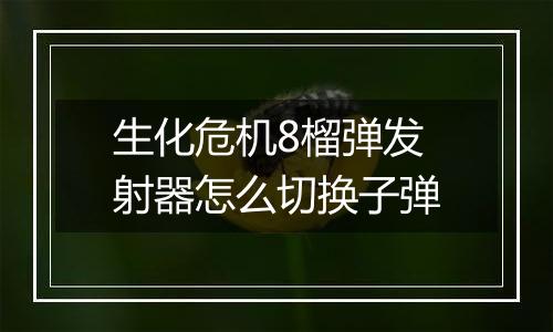 生化危机8榴弹发射器怎么切换子弹