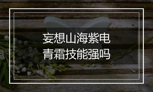 妄想山海紫电青霜技能强吗