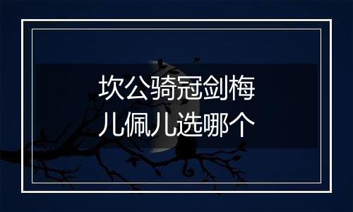 坎公骑冠剑梅儿佩儿选哪个