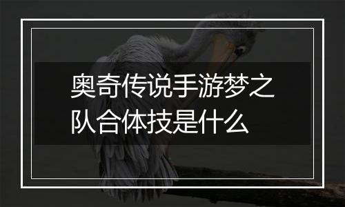 奥奇传说手游梦之队合体技是什么