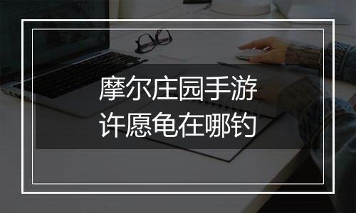 摩尔庄园手游许愿龟在哪钓