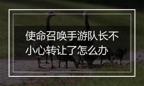 使命召唤手游队长不小心转让了怎么办