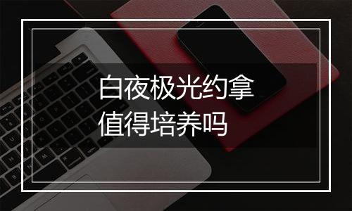 白夜极光约拿值得培养吗