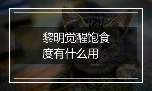 黎明觉醒饱食度有什么用