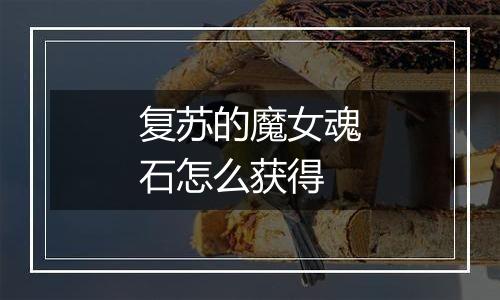复苏的魔女魂石怎么获得