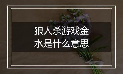 狼人杀游戏金水是什么意思