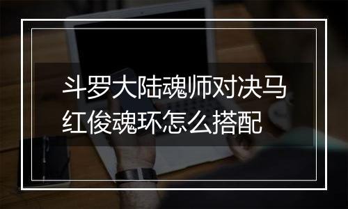 斗罗大陆魂师对决马红俊魂环怎么搭配