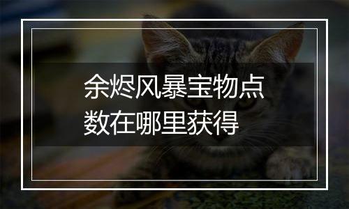 余烬风暴宝物点数在哪里获得