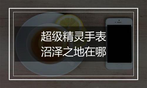 超级精灵手表沼泽之地在哪