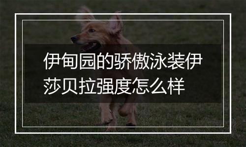 伊甸园的骄傲泳装伊莎贝拉强度怎么样