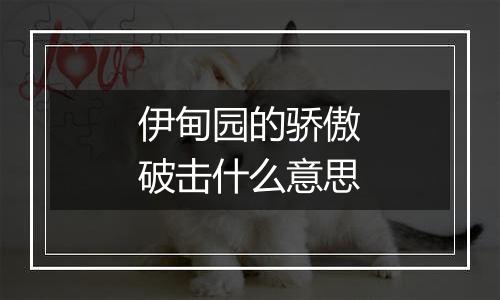 伊甸园的骄傲破击什么意思