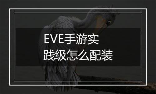 EVE手游实践级怎么配装