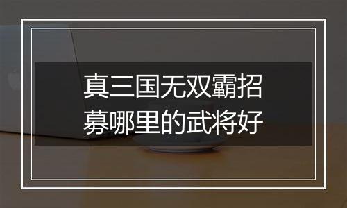 真三国无双霸招募哪里的武将好