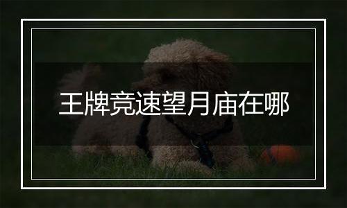 王牌竞速望月庙在哪