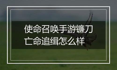 使命召唤手游镰刀亡命追缉怎么样