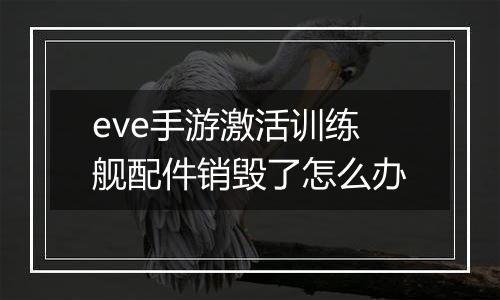 eve手游激活训练舰配件销毁了怎么办