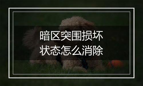 暗区突围损坏状态怎么消除