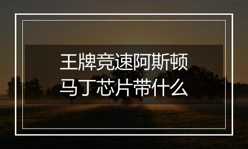 王牌竞速阿斯顿马丁芯片带什么