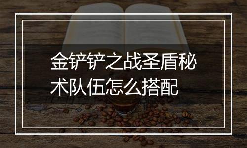 金铲铲之战圣盾秘术队伍怎么搭配