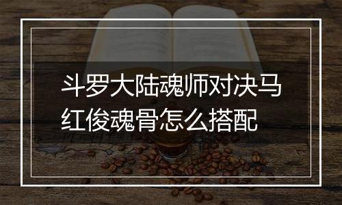 斗罗大陆魂师对决马红俊魂骨怎么搭配
