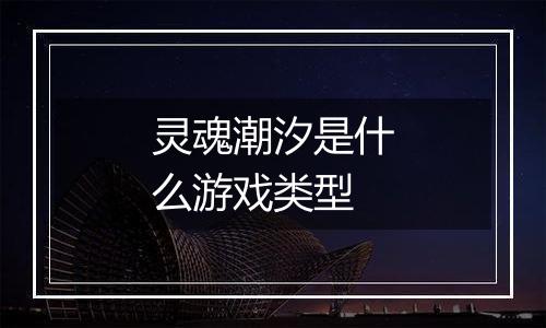 灵魂潮汐是什么游戏类型