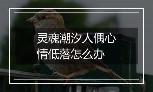 灵魂潮汐人偶心情低落怎么办