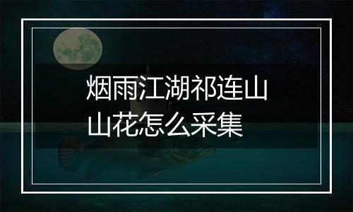 烟雨江湖祁连山山花怎么采集