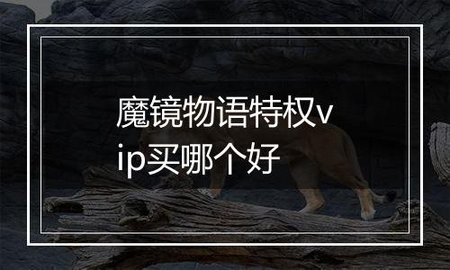 魔镜物语特权vip买哪个好