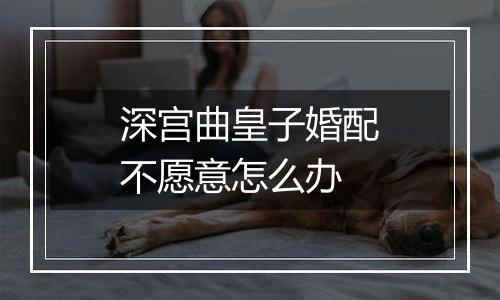 深宫曲皇子婚配不愿意怎么办