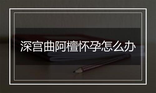深宫曲阿檀怀孕怎么办
