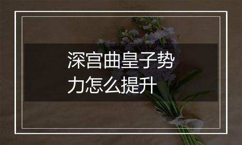 深宫曲皇子势力怎么提升