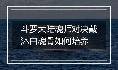 斗罗大陆魂师对决戴沐白魂骨如何培养